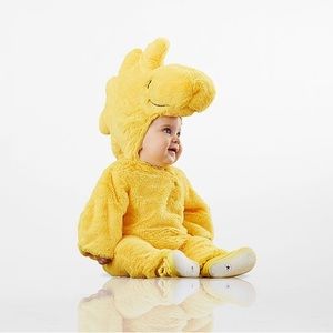 Pottery Barn Kids Woodstock Costume